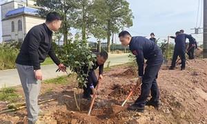 植树添绿正当时，警企携手绘就国门生态新画卷