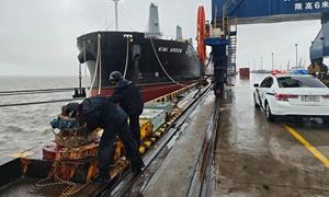 风起时，岸上有人