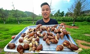 旧县镇:村容产业乡风作风齐焕新