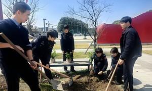 植绿港城践初心 薪火相传守国门
