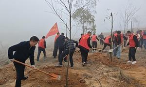 以红为魂 以绿为底 建设生态宜居文明村