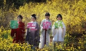 何村镇:“甜蜜姜岭”的幸福答卷