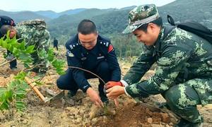 平而边境派出所联合热林中心青山实验场开展植树节植树活动