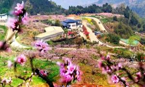 依托“五个最”绘就新图景:“长松实践”解锁乡村全面振兴密码