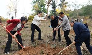 植绿护生态 守边践初心