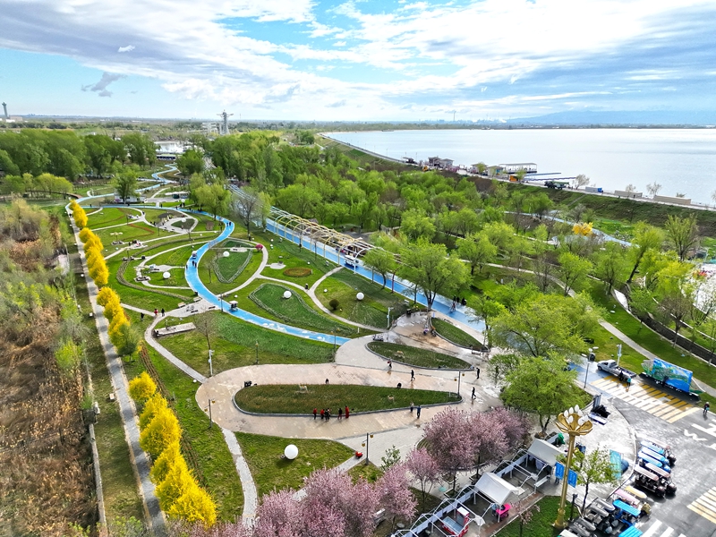 2026年4月18日，青格达湖旅游风景区郁金香航拍。 李华北 摄  (4).JPG