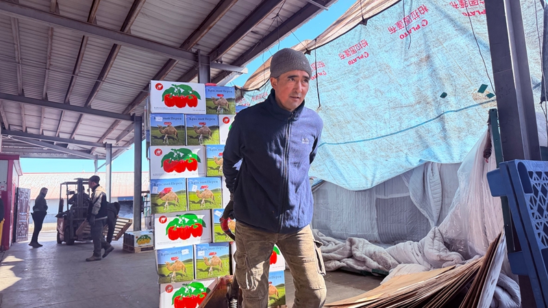 图为：3月5日，九师白杨市塔城市永利商贸有限责任公司的仓储园区内一片繁忙：工作人员正在拉运装箱。苟汇敏摄 (3).JPG