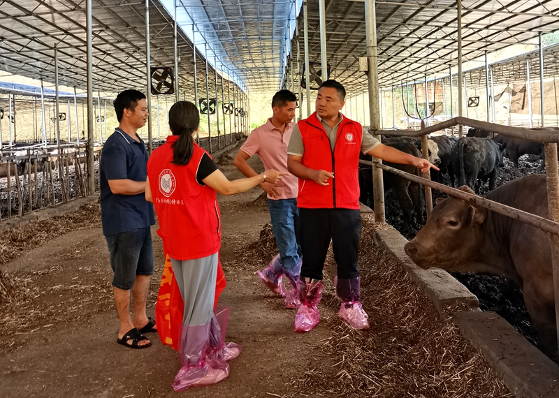 自治区水牛研究所科技特派员为养殖户提供技术服务.jpg