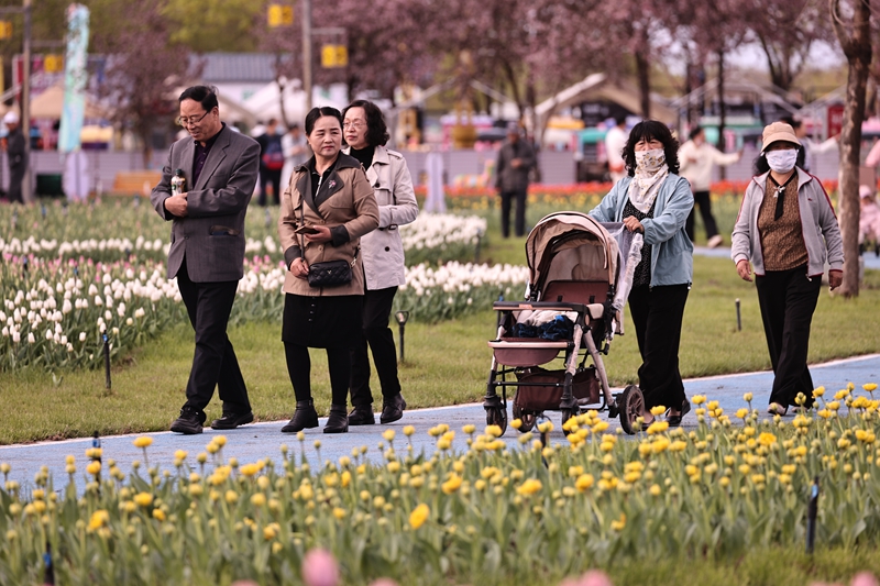 2026年4月18日，青格达湖旅游风景区游客欣赏郁金香花。 李华北 摄 (1).JPG