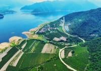 浑江：农旅互促 走出乡村振兴新路子