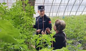 志愿服务不打烊 警徽闪耀平安路