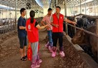 以安康养殖 护航水牛产业高质量发展