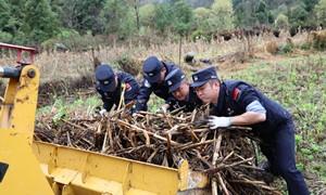 警民同心助春耕 普法护航保丰收