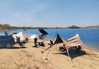 平邑临涧：春风拂沃野 乡韵醉游人