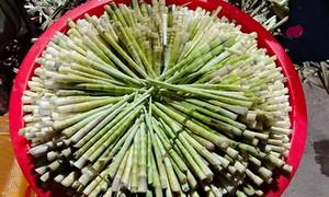 湖北恩施：：深山寻竹 点“笋”成金