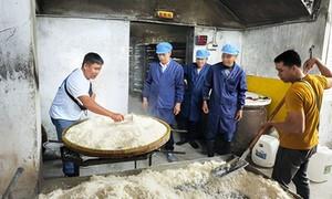 外籍船员走进鄞州明海酿造沉浸式体验古法酿醋