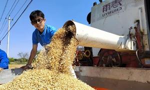 从大棚到良田 用真诚耕耘美丽乡村振兴路