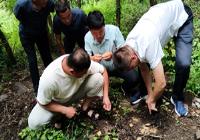 扎根黑土助振兴 精准帮扶结硕果 