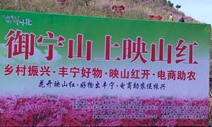 河北承德丰宁笫四届山花节开幕