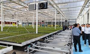 嵩县：“双芯驱动”背后的富民密码