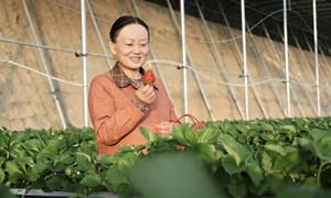 兵团六师： 棚内藏春色 链上促增收