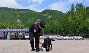 锤炼过硬技能 夯实实训基础—
