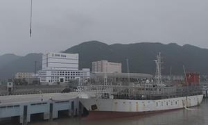 资质落地首船到港 象山临港冷链物流发展迈出新步伐