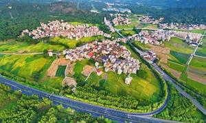 福建漳浦:党建引领聚合力 畲乡焕新惠民生