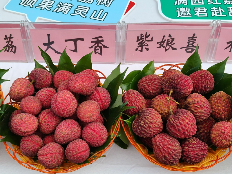 微信图片_20260613160302_50_30.jpg 微信图片_20260613160302_50_30.jpg