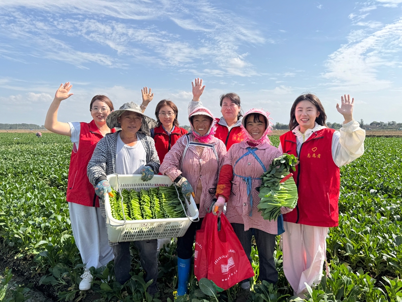 2025.9.4在毛桥村菜地,瞿靖镇志愿者们为毛桥村务工人员送去暖心包,为孩子们送上画本等文具.jpg 2025.9.4在毛桥村菜地,瞿靖镇志愿者们为毛桥村务工人员送去暖心包,为孩子们送上画本等文具.jpg