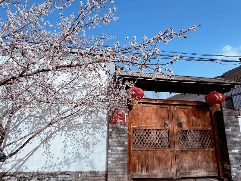 2025年4月15日，“全国文明村”红果子镇马家湾村农户家门前春日新景.jpg