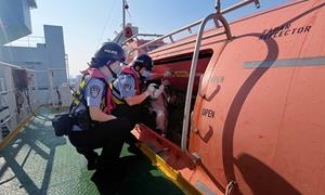 莆田边检站护航湄洲湾“绿能港”码头LNG船舶快速通关