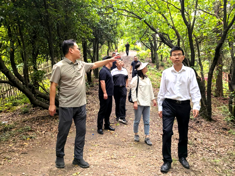 政协委员调研大幕山慕星民宿.jpg