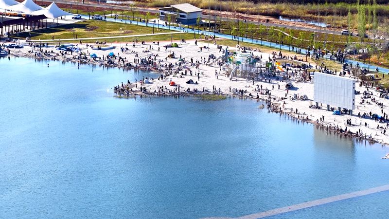 3.东红海子湿地公园向广大市民游客免费开放.jpg