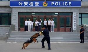 高校师生进警营 沉浸式感悟戍边担当
