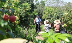 荔熟果香迎丰收 警务护航助振兴