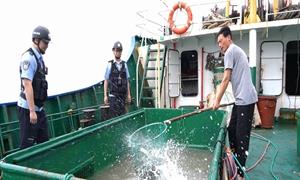 半年焕新机象山口岸开放红利持续释放