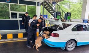 警犬助力卡点查缉 守护边境出行平安