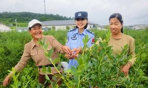 “警务前移”甜了果农心