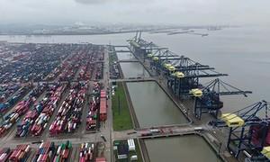 台风“白海豚”影响消退 宁波舟山港全速复工复产