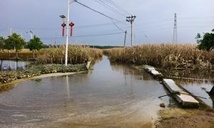 田间排涝保秋收 郑州消防救援驰援抢险