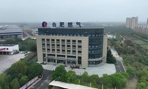 筑基固本 强化支撑 夯实基础体系