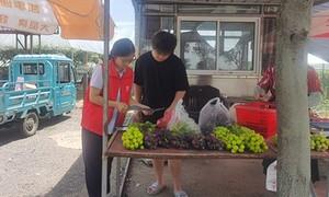 深耕普惠金融 赋能果蔬经济