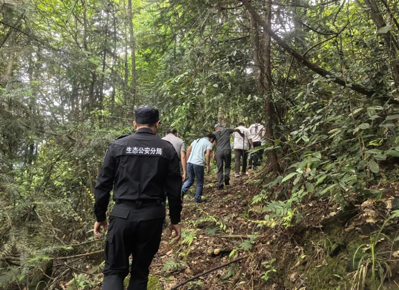 深山“警”色 31.jpg