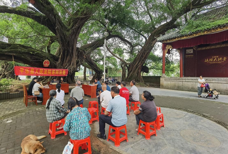 千年古榕下的“法治密码”1.jpg