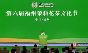 第六届福州茉莉花茶文化节暨第五届福州茶叶交易会开幕式在海峡国际会展中心举办