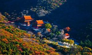 煤城“逆袭”：淮北用“文旅+”重塑城市基因