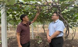 深耕走访办实事 信贷赋能促增收