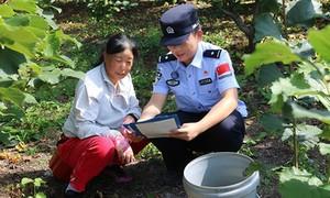 榛子树下的警民情谊