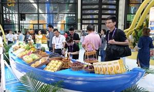 广西：抢抓运河通航新机遇 深耕东盟合作新赛道